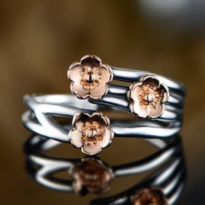 Sterling Silver Ring